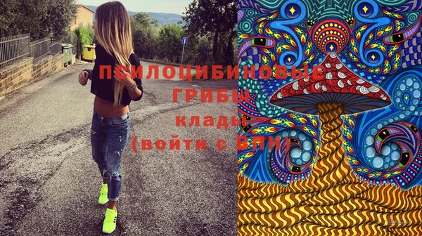 метадон Алексин